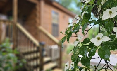 Dogwood Lakeview Cabin on Douglas Lake
