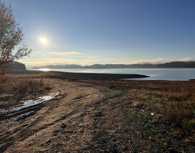 Discover Douglas Diamonds at Douglas Lake