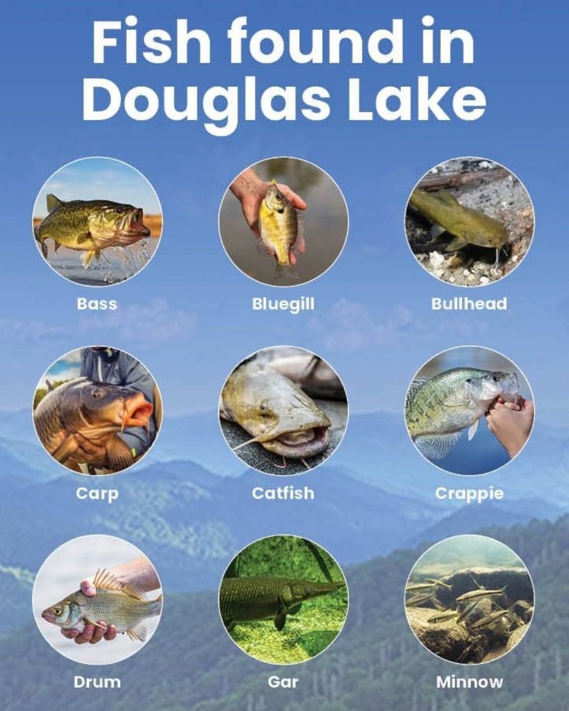 Guide depicting the fish available in Douglas Lake